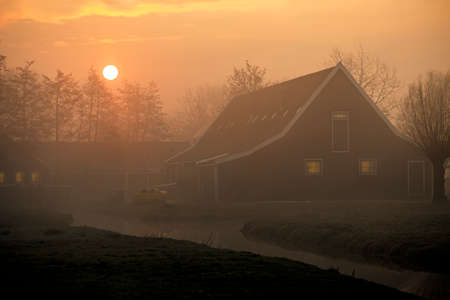 Morning sunrise sun reflected on a foggy Dutch traditional green wooden houses in the rural area of the Netherlandsの写真素材
