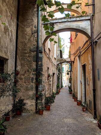 Typical Italian narrow street with small flower potsの写真素材