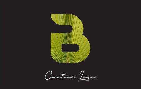 B Letter Logo with Palm Tree Leaf Pattern Design Vector Illustration.のイラスト素材