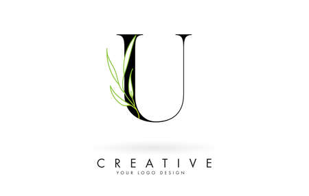 Elegant U letter logo design with long leaves branch vector illustration. Creative icon with letter U and natural elements.のイラスト素材