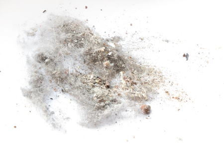 Pile dust isolated on white backgroundの写真素材