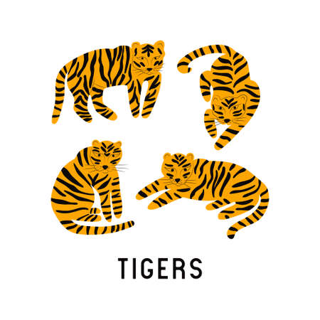Set of tigers in different poses. Cartoon vector illustration in flat styleのイラスト素材
