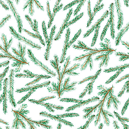 Watercolor pattern with spruce branchesの写真素材