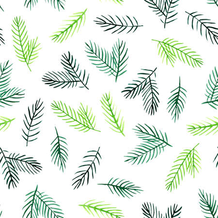Watercolor pattern with spruce branchesの写真素材