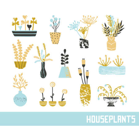 Set of hand drawn house plants. Vector illustration in flat styleのイラスト素材