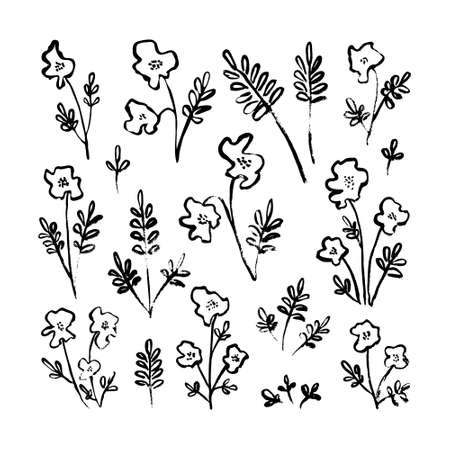 Set of hand drawn leaves and flowersのイラスト素材