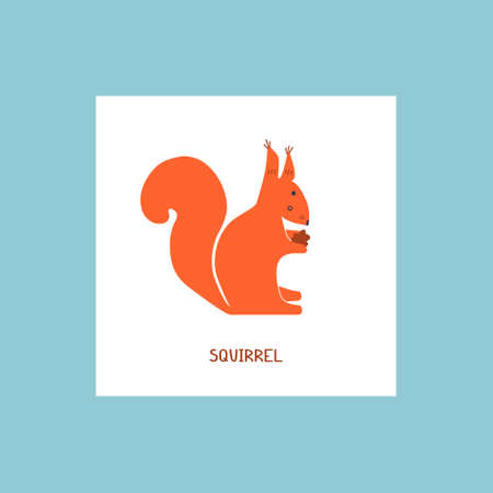 Vector illustration with squirrel in flat style. cartoon forest animalのイラスト素材