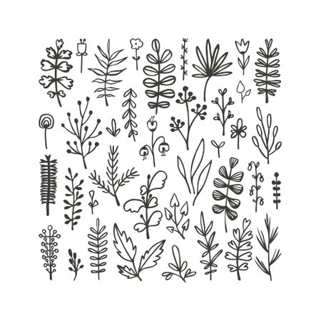 Set of hand drawn leaves, flowers, herbs and berries. Black and white floral elements. Natural illustration with simple plants for wallpaper, scrapbooking, wrapping paperのイラスト素材