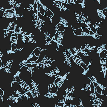 Seamless pattern on the dark background. Exotic birds with outline. hand drawn vector illustrationのイラスト素材