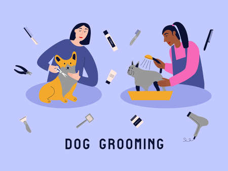 Vector illustration with women grooming dogs. Equipment for pet care. Different tools for washing, brushing, dryingのイラスト素材
