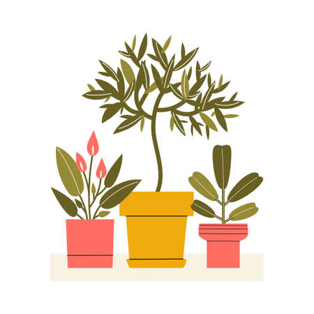 Group of simple houseplants on white background. Vector flat illustration with indoor plantsのイラスト素材