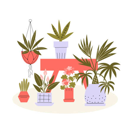 Bright vector flat illustration with different houseplants. Simple indoor plants standing on a table and floorのイラスト素材