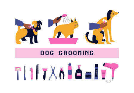 Set of vector illustrations with dog grooming. Pet care - washing, brushing, trimming petsのイラスト素材
