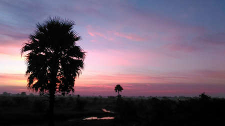 Sunriseの写真素材