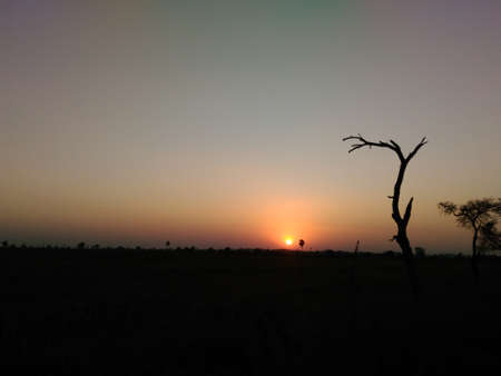 Sunsetの写真素材