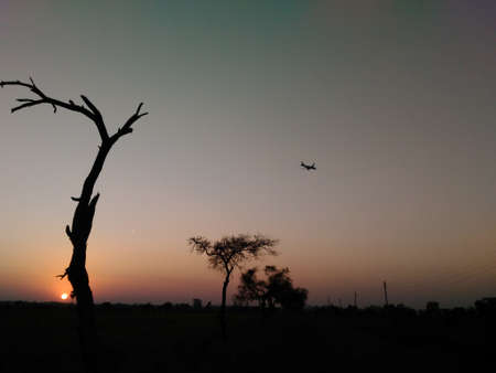Sunsetの写真素材