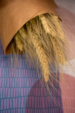 dry flowers on a colored backgroundの写真素材