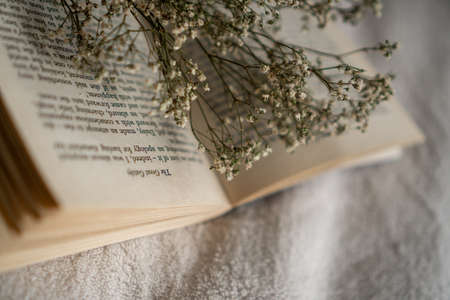 classic literary book and dry flowerの写真素材
