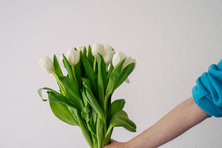 girl in a blue and long hair dress with white tulipsの写真素材