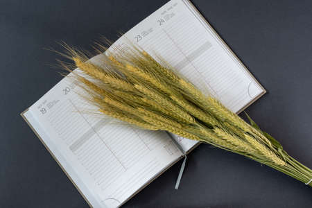 a bouquet of dry wheat lies on an open daily plannerの写真素材