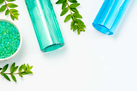 Cosmetic flat lay: beauty products for baby care in green and blue colors and sprigs of juicy greeneryの写真素材