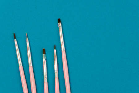 cosmetic flat lay: pink makeup brushes on a blue background