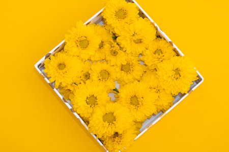 nature background: yellow background and yellow flowersの写真素材
