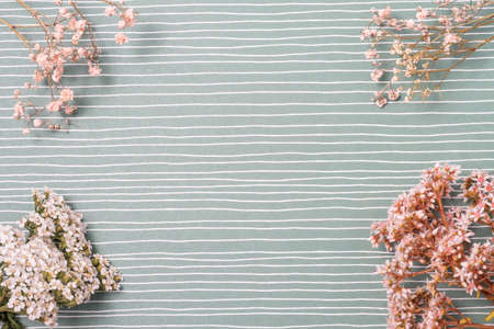Artistic background. Dry white flowers, white fresh and pink fresh flowers on a white background in...