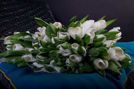 White bouquet of tulips on black chair with blue cushion の写真素材