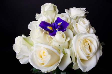 Blue Flag Iris in the middle of white roses bouquet