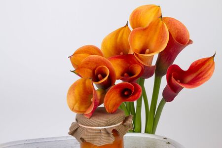 Orange Calla lilies(Zantedeschia) with orange and pumpkin marmalade over white の写真素材
