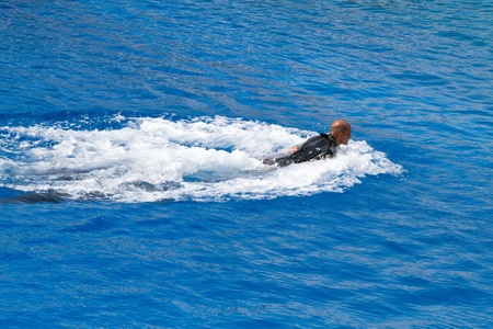 Dolphins' show at the Oceanographic in The City of Arts and Sciences on July 28, 2011 in Valencia,...