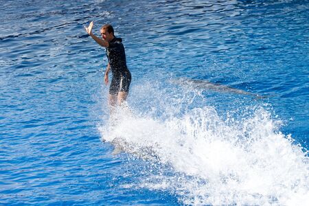 Dolphins' show at the Oceanographic (Valencian: L'Oceanogràfic, Spanish: El Oceonográfico) in The City of Arts and Sciences (Valencian: Ciutat de les Arts i les Ciències, Spanish: Ciudad de las Artes y las Ciencias) on July 28, 2011 in Valencia, Spainのeditorial素材
