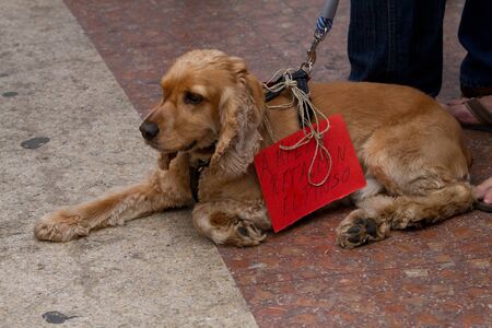 BARCELONA - JUNE 19: Protest in Placa Catalunya called "19J, Manifestació Internacional. El carrer és nostre, no pagarem la seva crisi". June 19, 2011 in, Barcelona, Spainのeditorial素材