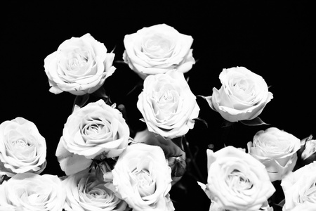 B W image of a bouquet of pink roses over black backgroundの写真素材