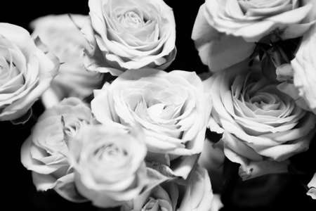 B W image of a bouquet of pink roses over black backgroundの写真素材
