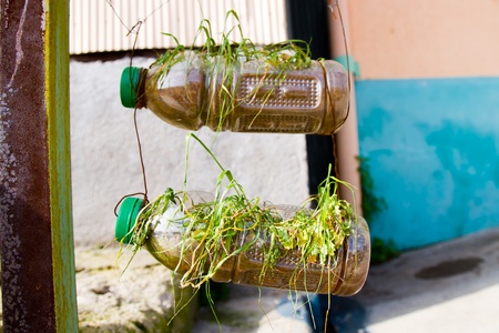 Green recycle concept in the protected UNESCO World Heritage Site of Valparaiso on June 9, 2013 in Valparaiso, Chileのeditorial素材