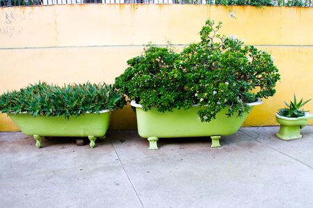Recycled plant pot on the streets of the protected UNESCO World Heritage Site of Valparaiso on June 9, 2013 in Valparaiso, Chileのeditorial素材