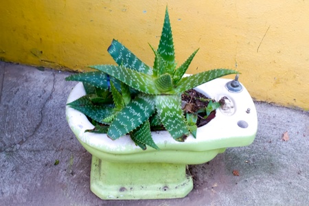 Recycled plant pot on the streets of the protected UNESCO World Heritage Site of Valparaiso on June 9, 2013 in Valparaiso, Chileのeditorial素材
