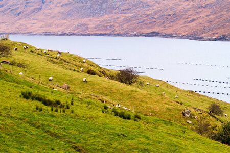 View of the western Ireland countryside landscape in winter - Connemara and Galway Bayの写真素材