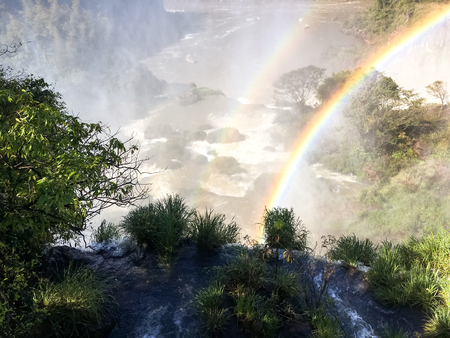 View of the Iguazu Iguacu) falls, the largest series of waterfalls on the planet, located between Brazil, Argentina, and Paraguay. At some times during the year one can see as many as 275 separate waterfalls cascading along the edges of 2,700 meters (1.6 の写真素材