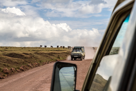 NGORONGORO - JANUARY 02: Safari car in Ngorongoro Conservation Area (NCA) World Heritage Site in the Crater Highlands, Tanzania on January 2nd, 2018のeditorial素材