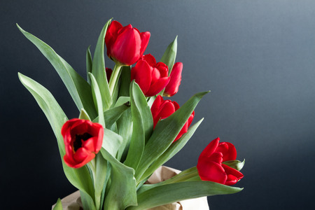 Beautiful bouquet of red tulips in a paper bag over a dark backgroundの写真素材