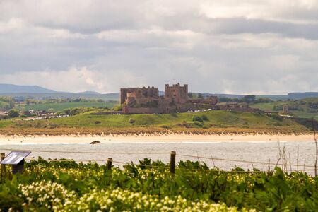 Colony of puffins, with brightly coloured beaks,  also knows as puffinry, a circus, a burrow, a gathering, or an improbability, in Farne Islandsの写真素材