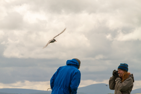 Farne Islands, UK - May 27, 2019: Tourists attacked by terns in Farne Islands, as they visit during breeding period on May 27th, 2019 in Farne Islands, United Kingdomのeditorial素材