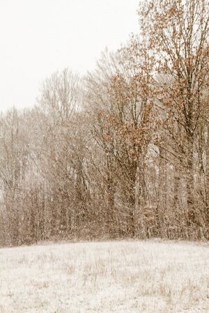 Image of white winter landscape during snowfall in rural setting in Decemberの写真素材