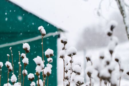 Image of white winter landscape during snowfall in rural setting in Decemberの写真素材
