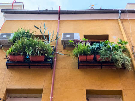 Madrid, Spain - May1-11 2020: View of Madrid, as residents are allowed individual exercise after the total lockdown due to Coronavirus(COVID-19) infectious disease caused by Sars-cov-2のeditorial素材