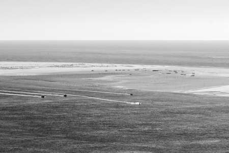 フェレットの写真素材 イラスト素材 ストックフォトのamanaimages Plus