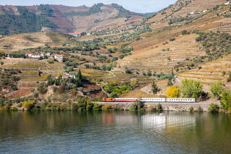 Top view of river, the hills with the quitas and the vineyards in the Valley of the River Douro,...